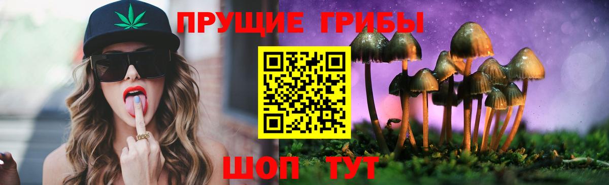 Стрежевой  Псилоцибиновые грибы Magic Shrooms  Вход с VPN 